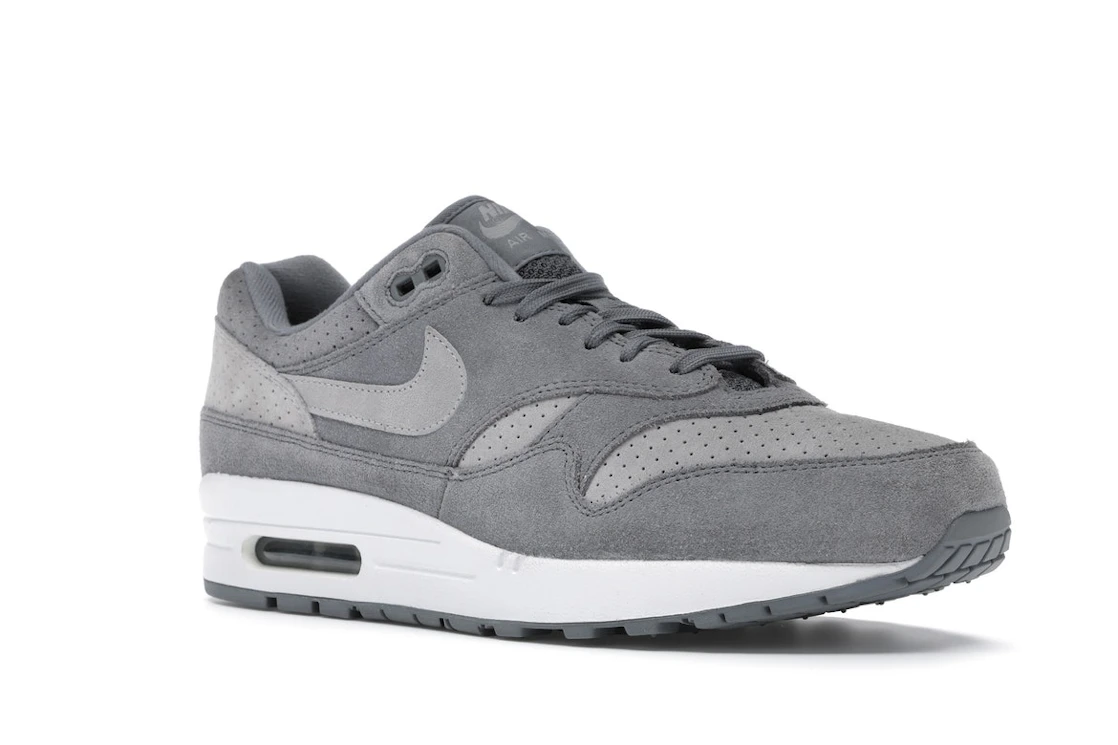 Vue 5 de Nike Air Max 1 Cool Grey Wolf Grey
