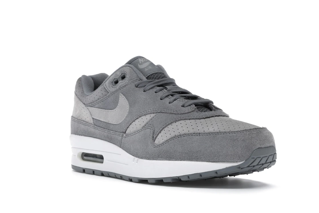 Vue 6 de Nike Air Max 1 Cool Grey Wolf Grey