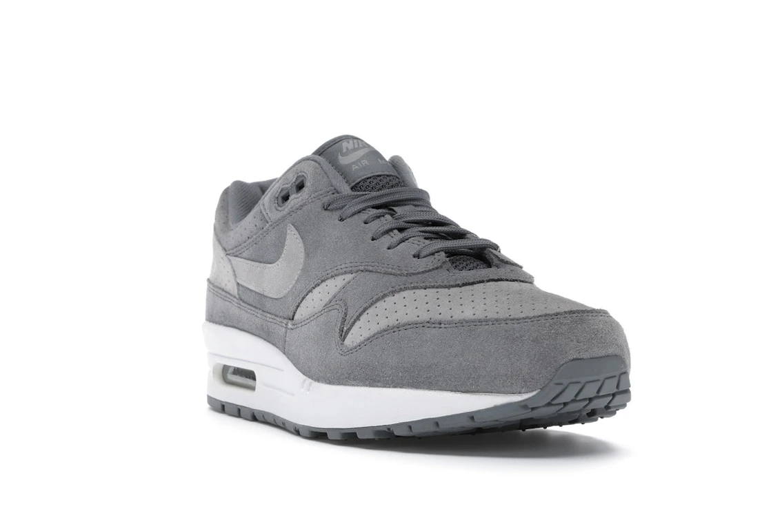 Vue 7 de Nike Air Max 1 Cool Grey Wolf Grey