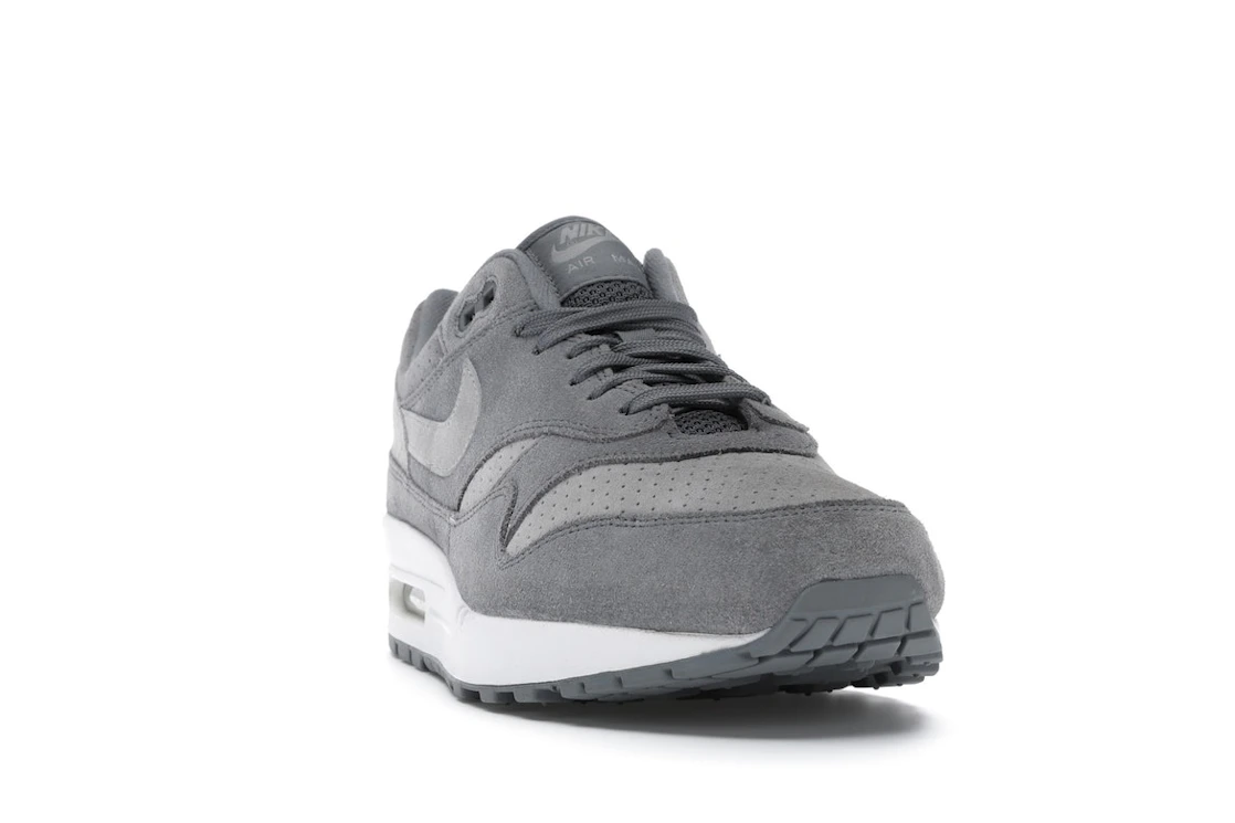Vue 8 de Nike Air Max 1 Cool Grey Wolf Grey