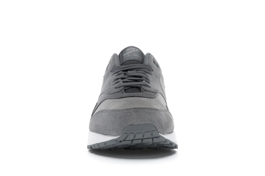 Vue 10 de Nike Air Max 1 Cool Grey Wolf Grey