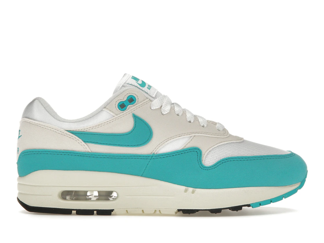 Vue 1 de Nike Air Max 1 Dusty Cactus 