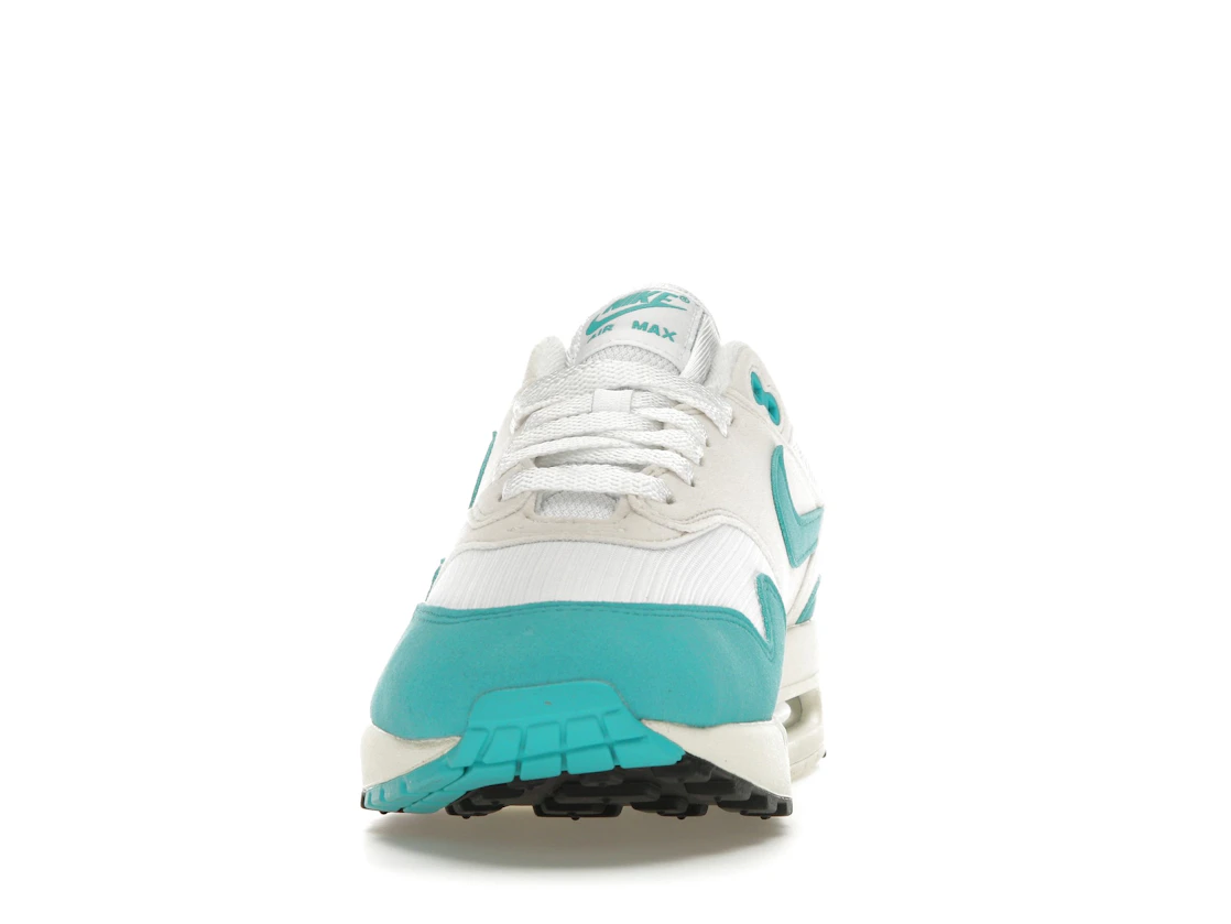 Vue 11 de Nike Air Max 1 Dusty Cactus 