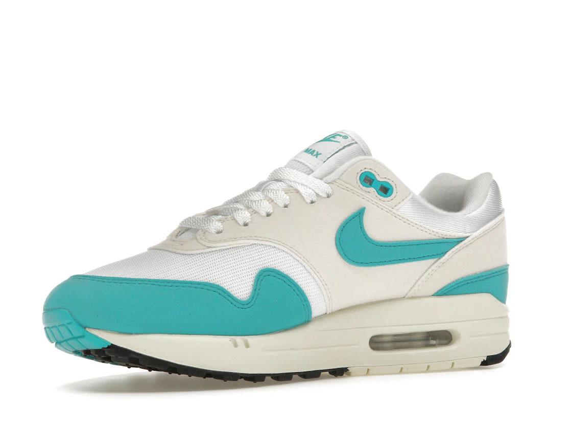 Vue 16 de Nike Air Max 1 Dusty Cactus 