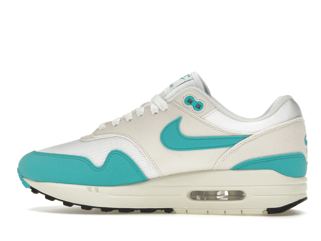 Vue 20 de Nike Air Max 1 Dusty Cactus 