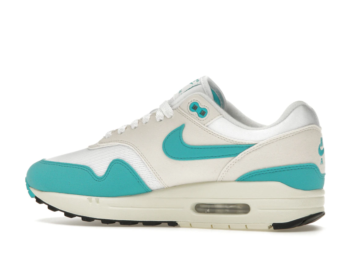 Vue 21 de Nike Air Max 1 Dusty Cactus 