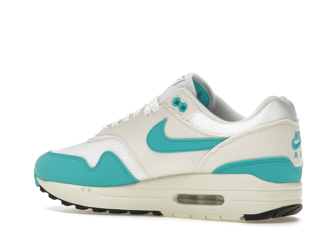 Vue 22 de Nike Air Max 1 Dusty Cactus 