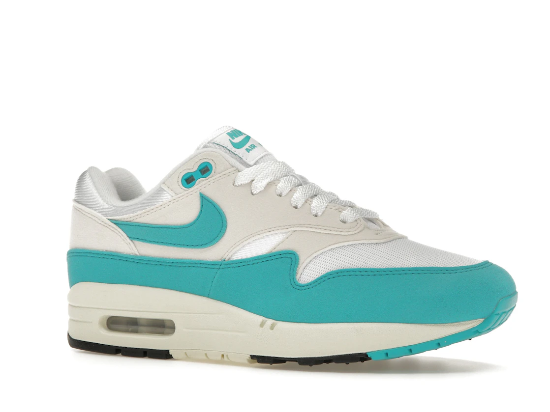 Vue 4 de Nike Air Max 1 Dusty Cactus 