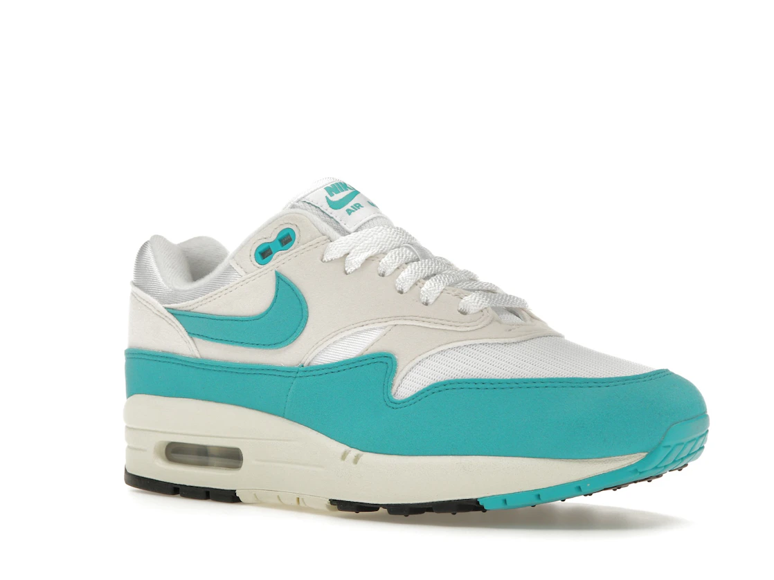 Vue 5 de Nike Air Max 1 Dusty Cactus 