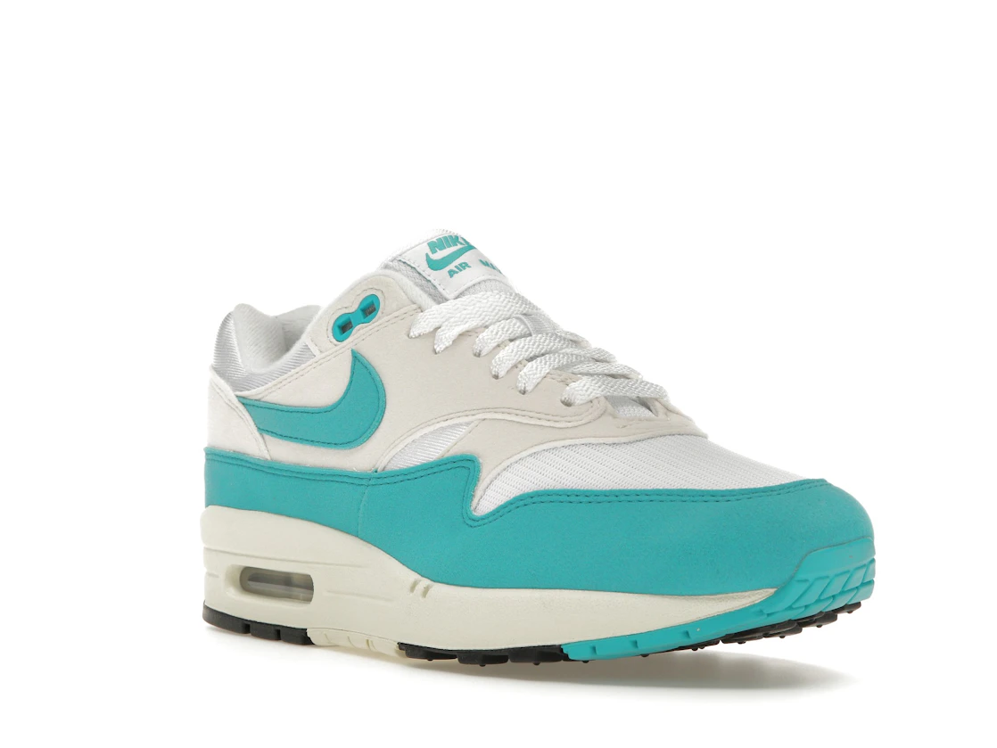 Vue 6 de Nike Air Max 1 Dusty Cactus 