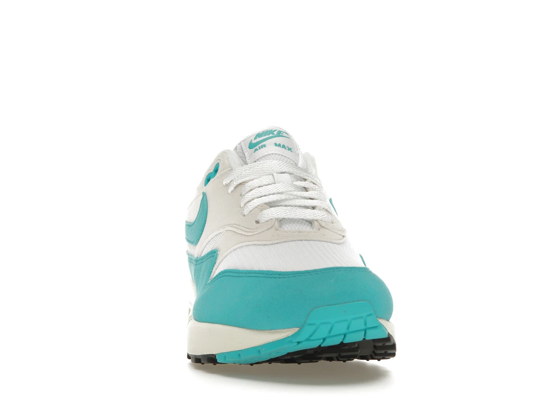 Vue 9 de Nike Air Max 1 Dusty Cactus 