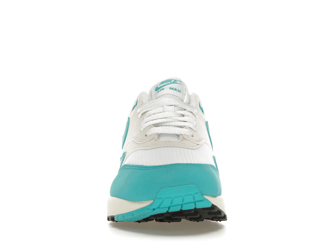 Vue 10 de Nike Air Max 1 Dusty Cactus 
