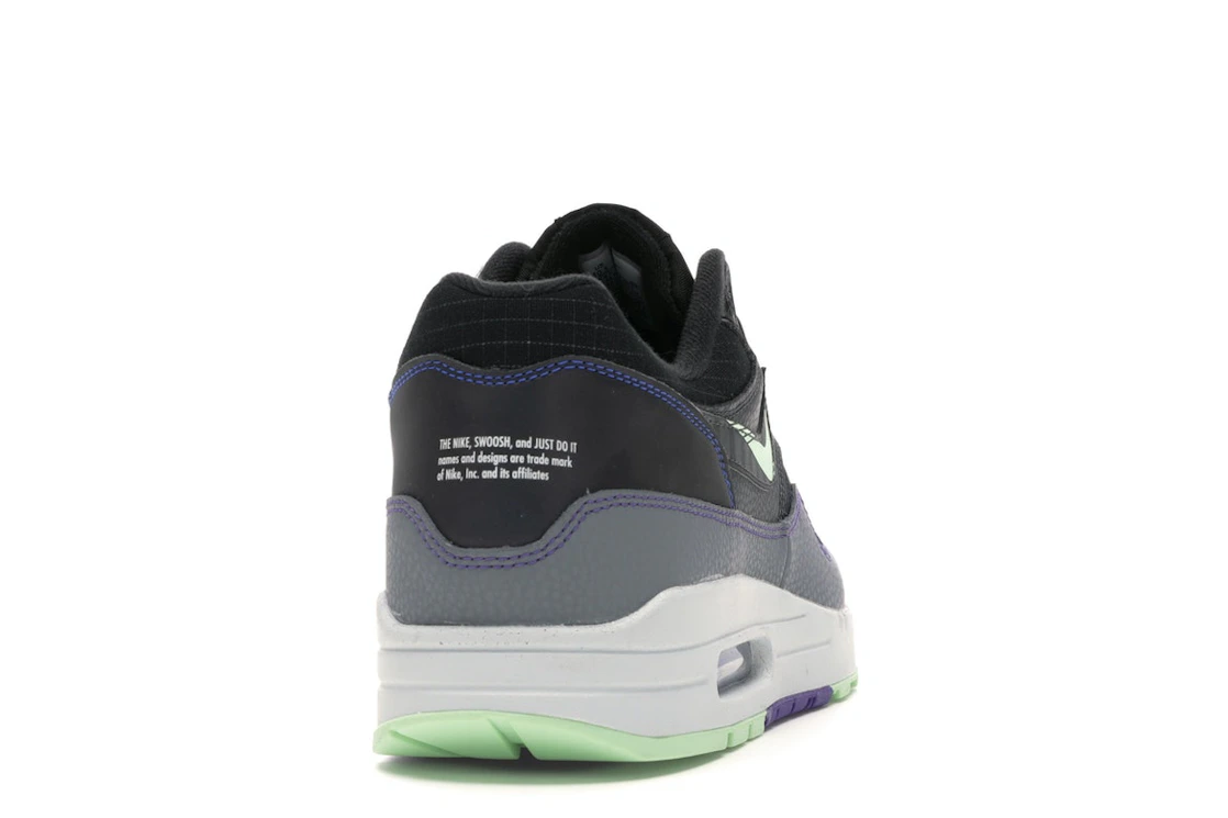 Vue 29 de Nike Air Max 1 Future Swoosh Pack