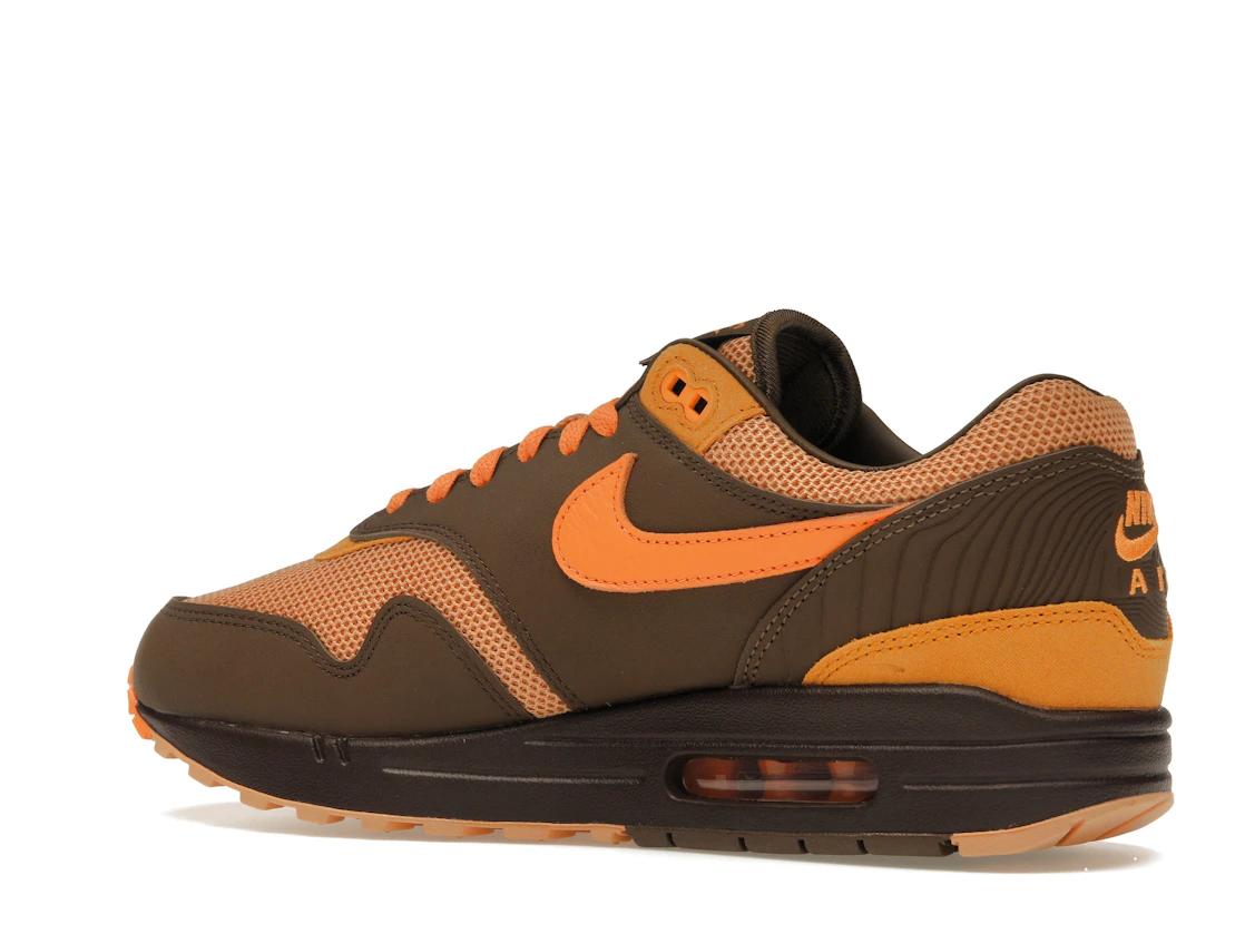 Vue 22 de Nike Air Max 1 King’s Day