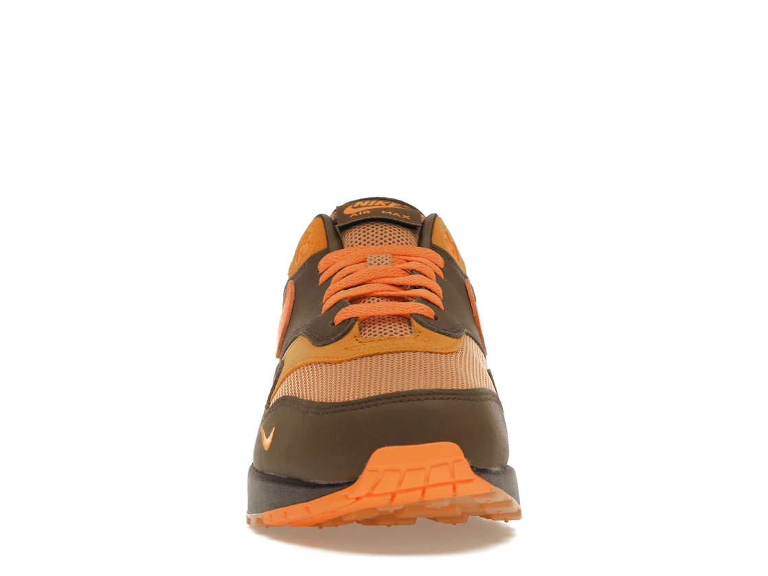 Vue 10 de Nike Air Max 1 King’s Day