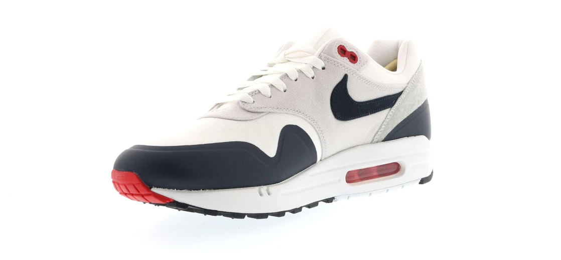 Vue 11 de Nike Air Max 1 Patch Paris