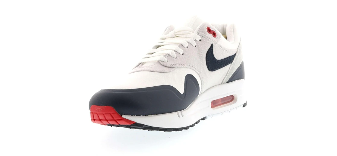 Vue 10 de Nike Air Max 1 Patch Paris