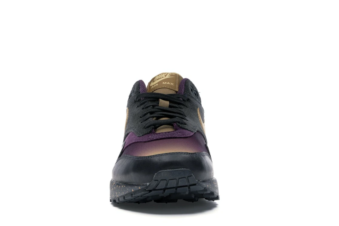 Vue 10 de Nike Air Max 1 Pro Purple Fade