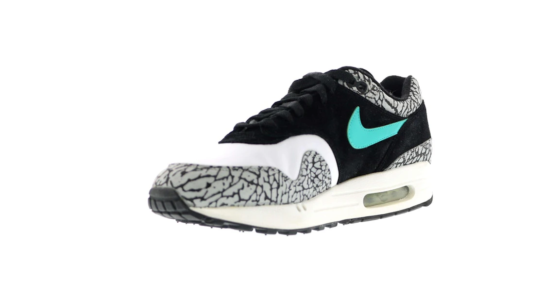 Vue 11 de Nike Air Max 1 atmos Elephant (2007)