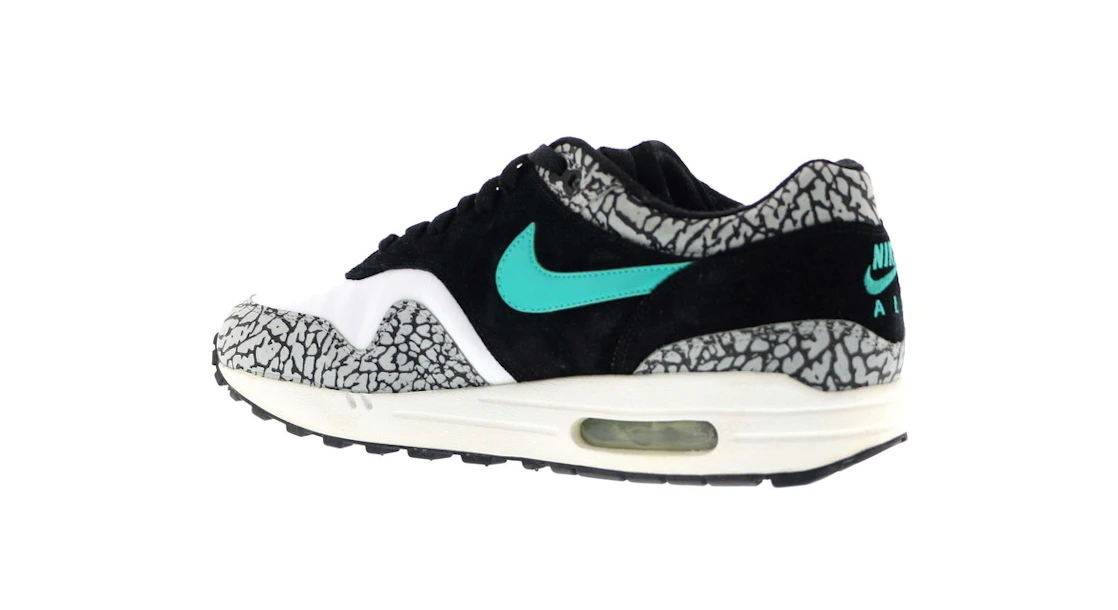 Vue 16 de Nike Air Max 1 atmos Elephant (2007)