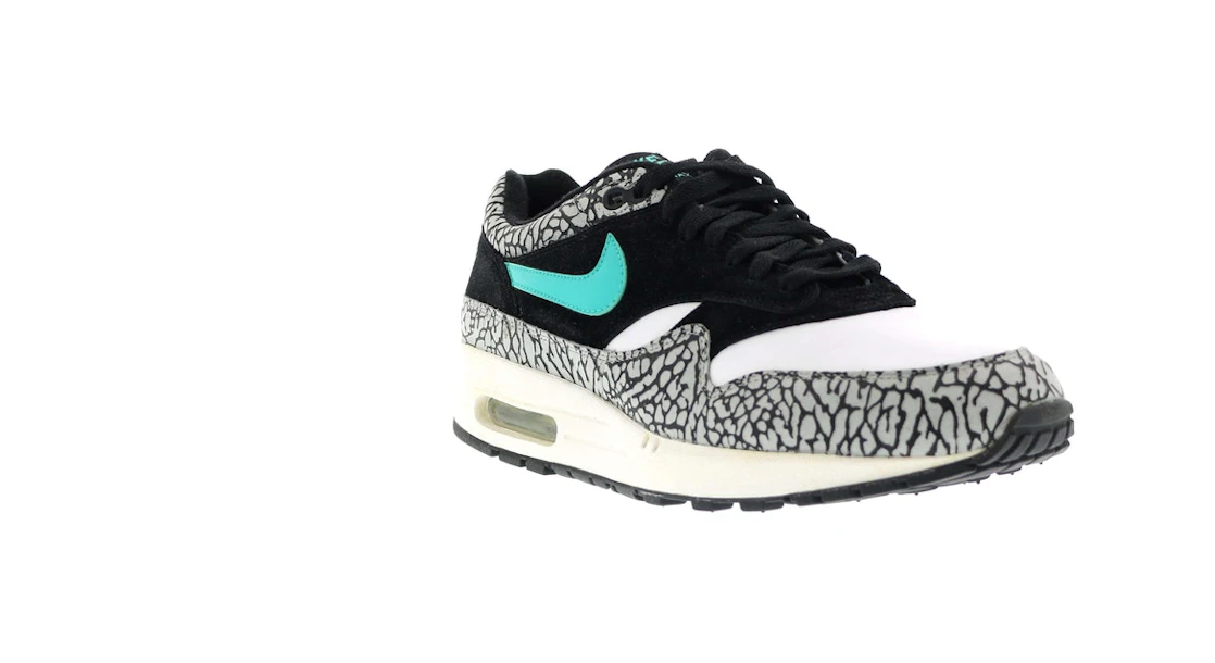 Vue 5 de Nike Air Max 1 atmos Elephant (2007)