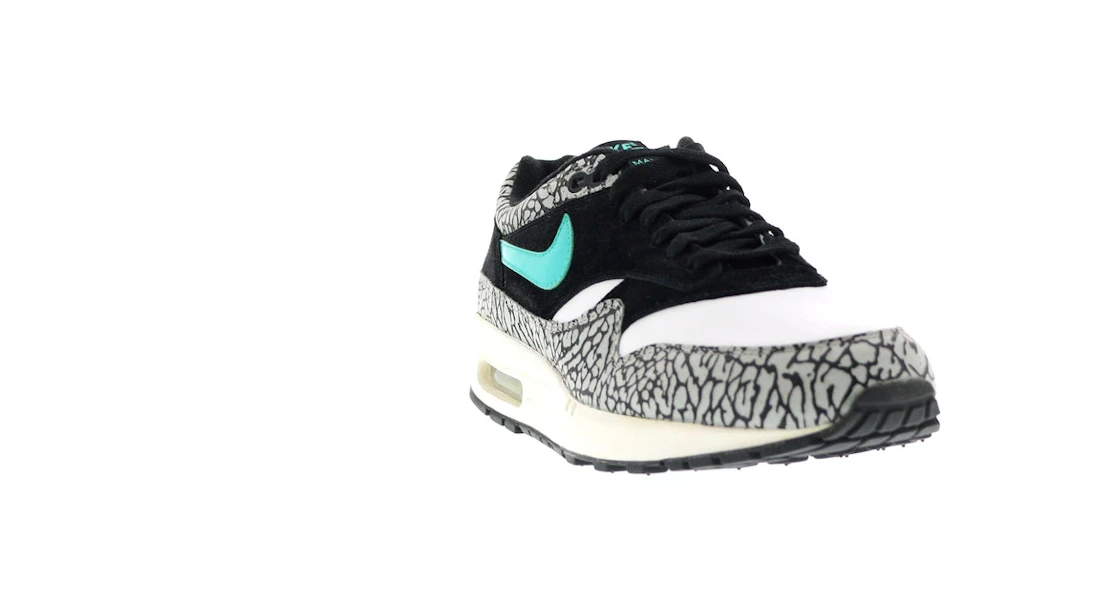 Vue 6 de Nike Air Max 1 atmos Elephant (2007)