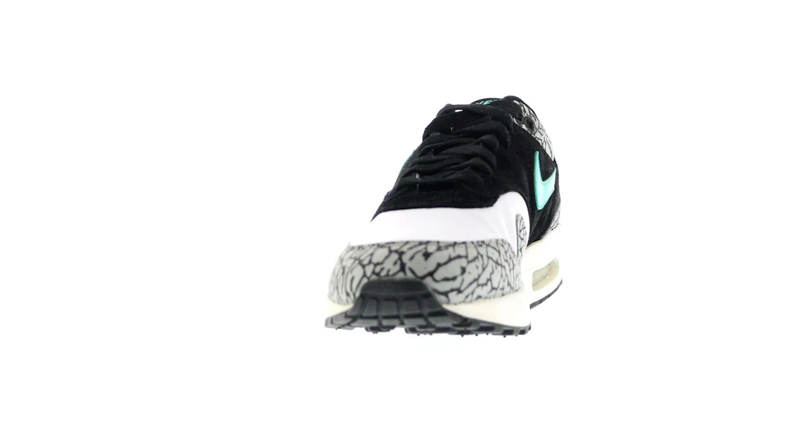 Vue 9 de Nike Air Max 1 atmos Elephant (2007)