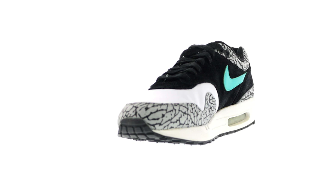Vue 10 de Nike Air Max 1 atmos Elephant (2007)