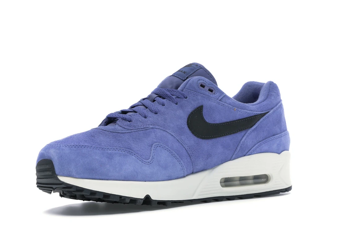 Vue 15 de Nike Air Max 90/1 Purple Basalt