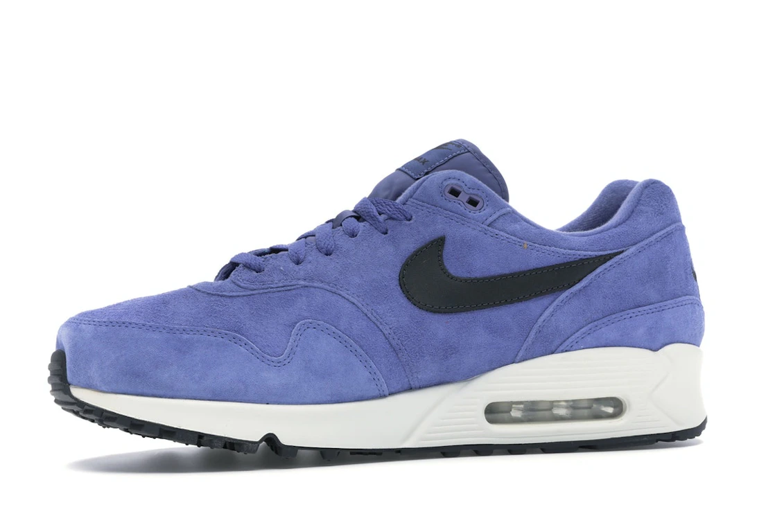 Vue 17 de Nike Air Max 90/1 Purple Basalt