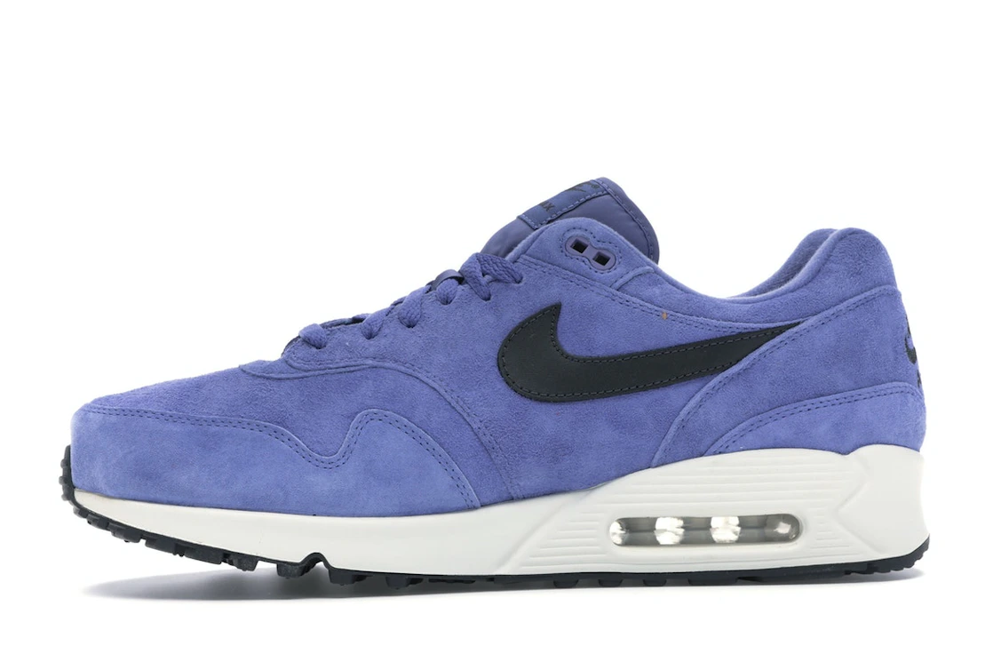Vue 18 de Nike Air Max 90/1 Purple Basalt