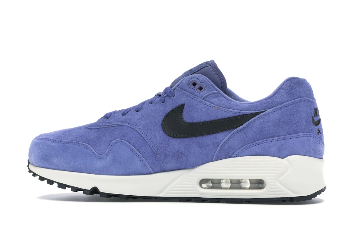 Vue 20 de Nike Air Max 90/1 Purple Basalt
