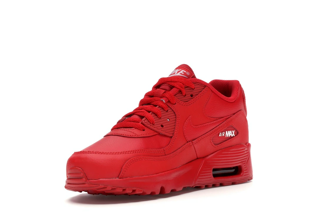 Vue 14 de Nike Air Max 90 University Red (GS)