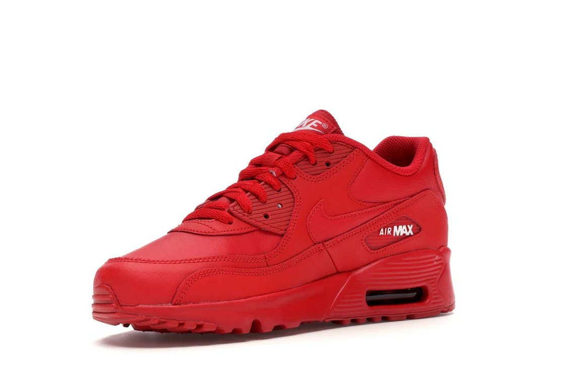 Vue 15 de Nike Air Max 90 University Red (GS)