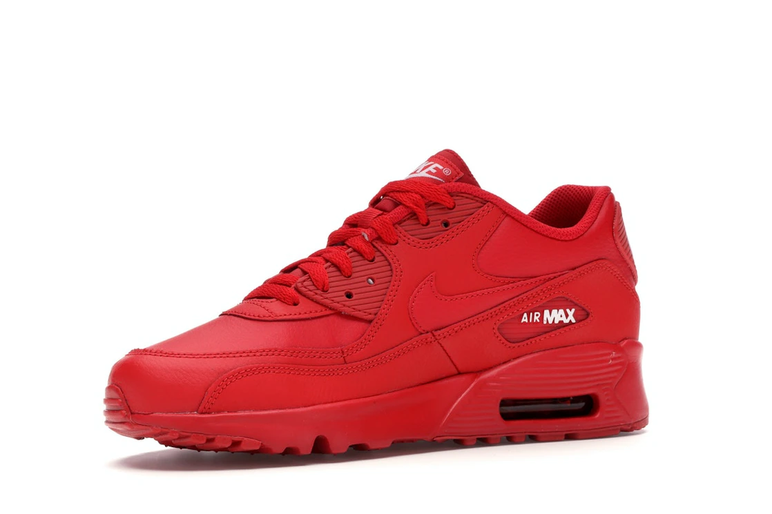 Vue 16 de Nike Air Max 90 University Red (GS)