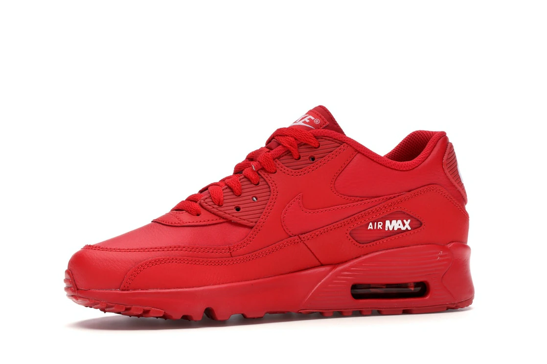 Vue 17 de Nike Air Max 90 University Red (GS)