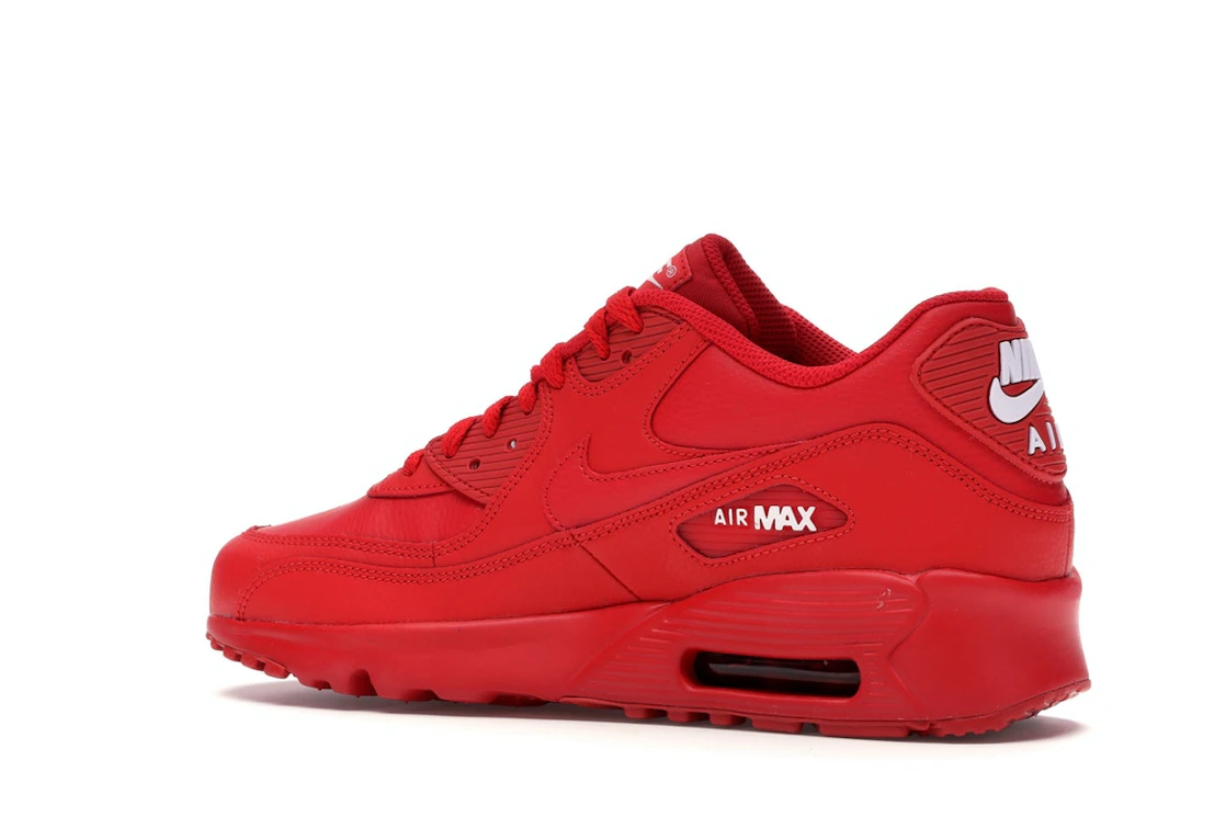 Vue 22 de Nike Air Max 90 University Red (GS)