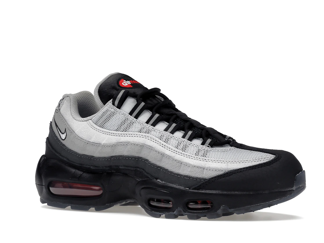 Vue 4 de Nike Air Max 95 Fish Scales