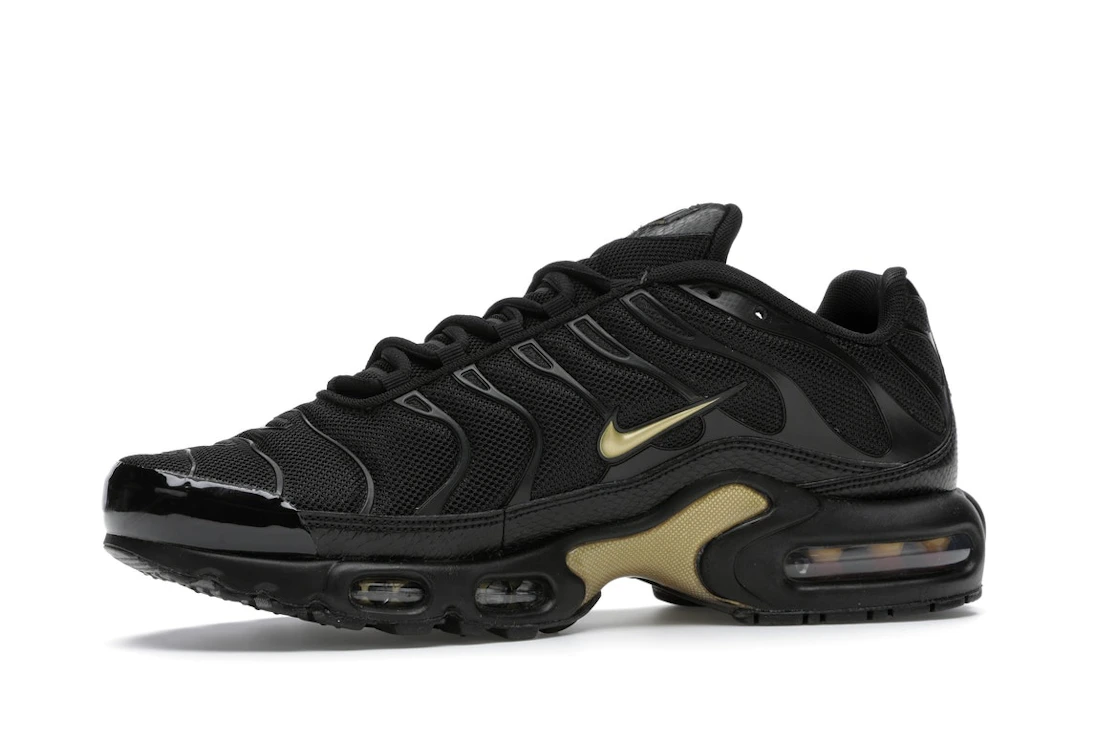 Vue 17 de Nike Air Max Plus Black Metallic Gold (2019)