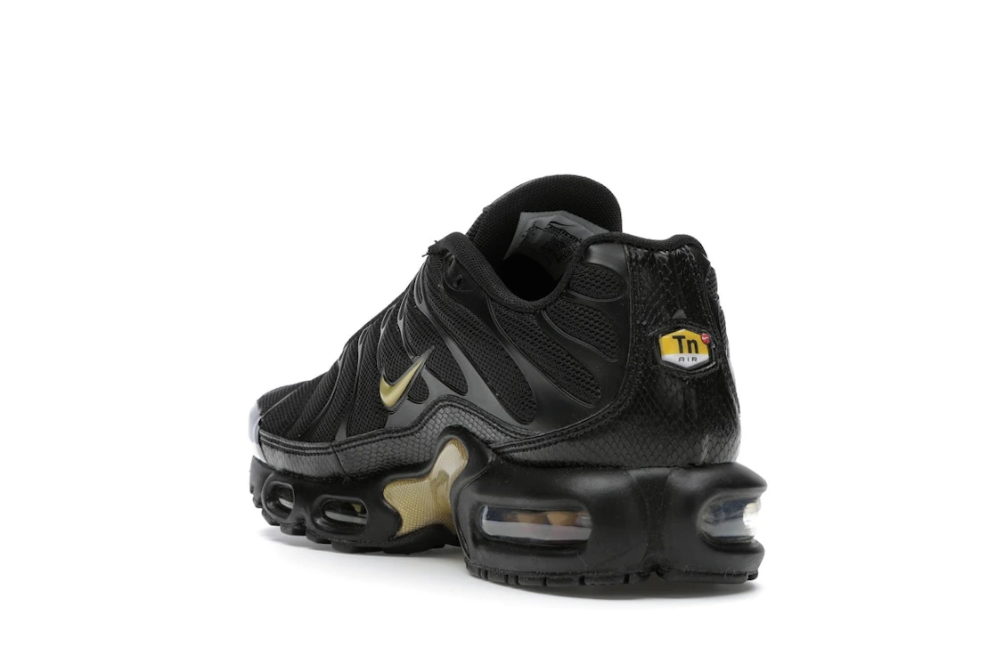 Vue 25 de Nike Air Max Plus Black Metallic Gold (2019)