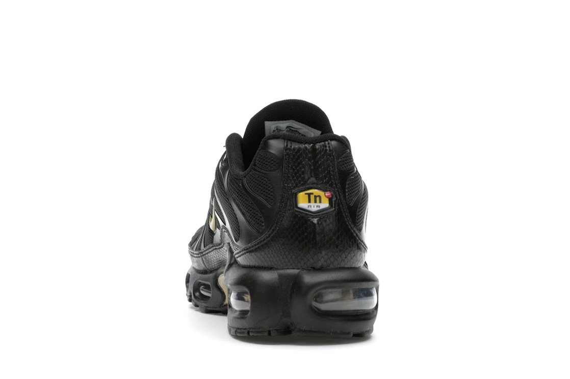Vue 27 de Nike Air Max Plus Black Metallic Gold (2019)
