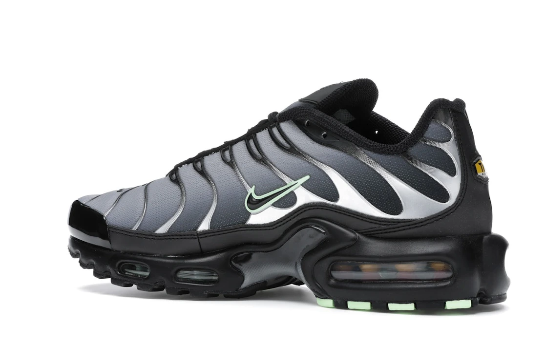 Vue 22 de Nike Air Max Plus Black Particle Grey Vapour Green