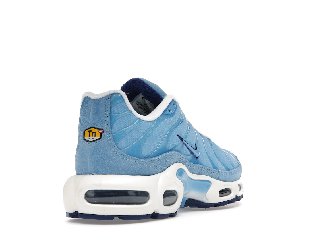 Vue 31 de Nike Air Max Plus First Use University Blue