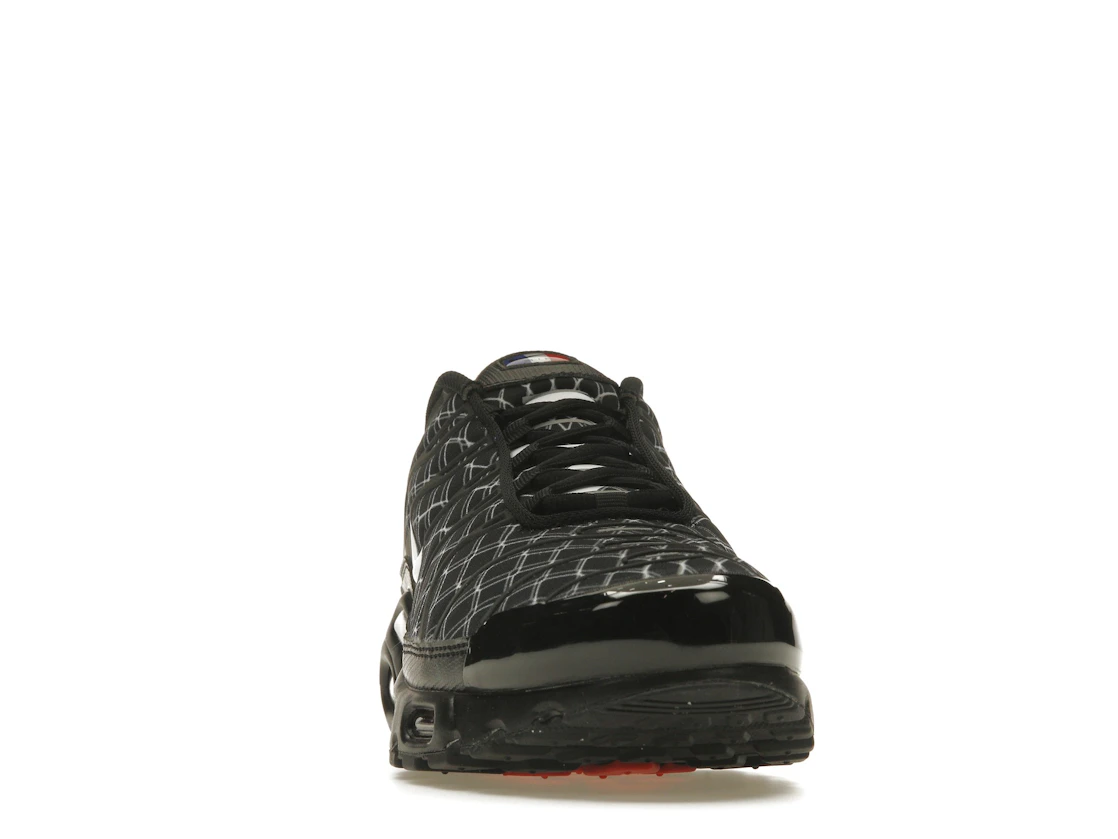 Vue 9 de Nike Air Max Plus France