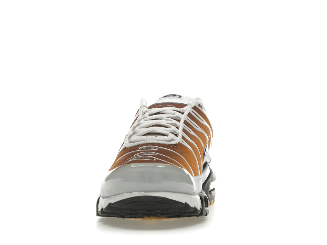 Vue 11 de Nike Air Max Plus One Block Down Chutney