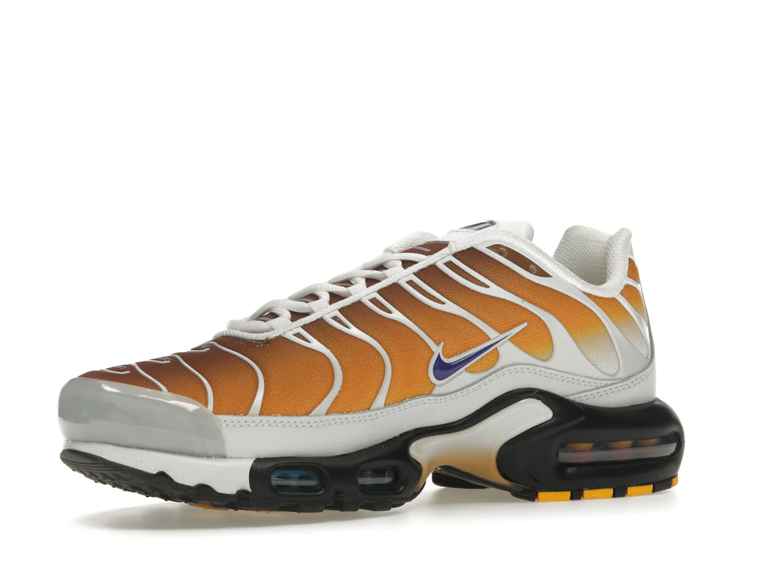 Vue 16 de Nike Air Max Plus One Block Down Chutney