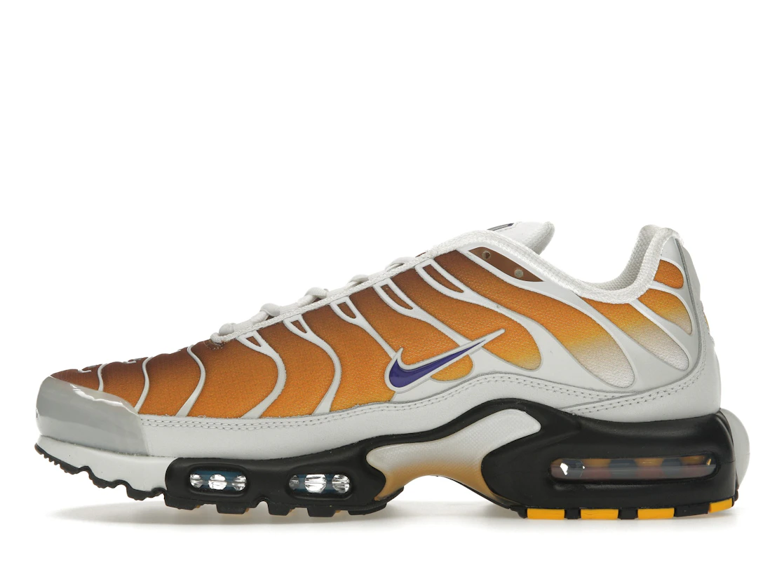 Vue 19 de Nike Air Max Plus One Block Down Chutney
