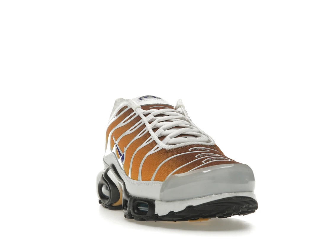 Vue 8 de Nike Air Max Plus One Block Down Chutney