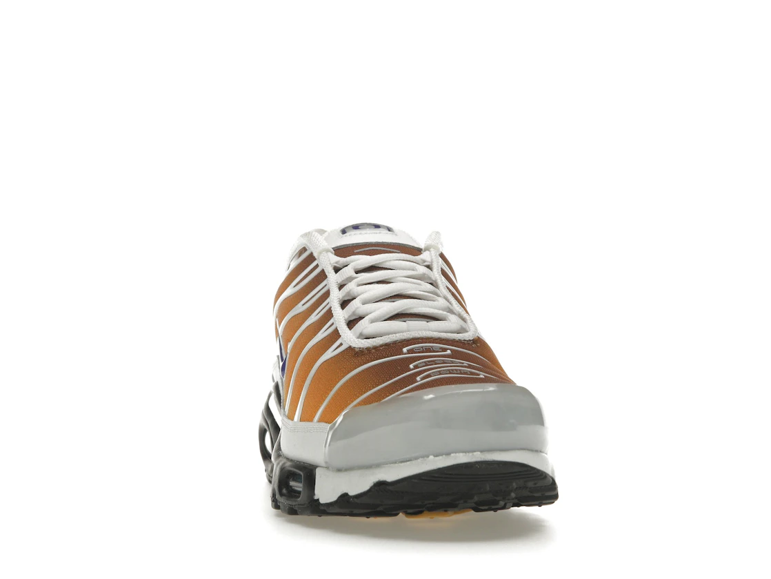 Vue 9 de Nike Air Max Plus One Block Down Chutney