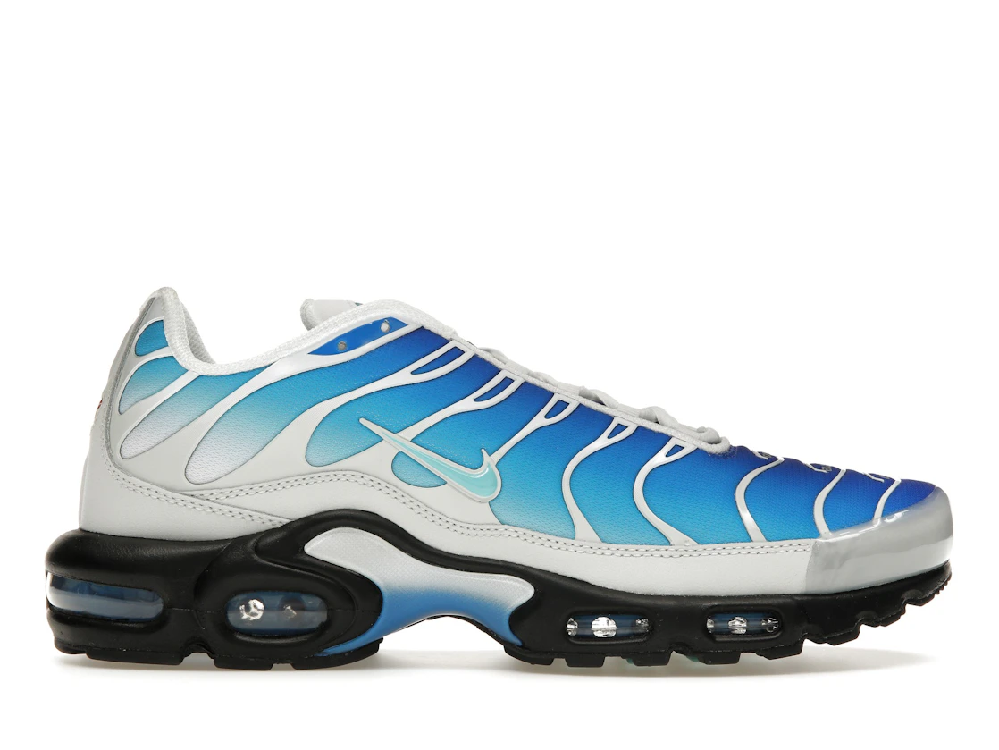 Vue 1 de Nike Air Max Plus One Block Down Light Photo Blue